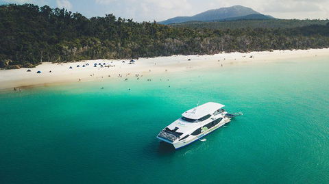 Whitehaven Beach And Daydream Island Cruise - Accommodation Australia 1