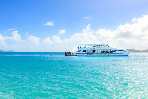 Whitehaven Beach And Daydream Island Cruise - Accommodation Australia 2