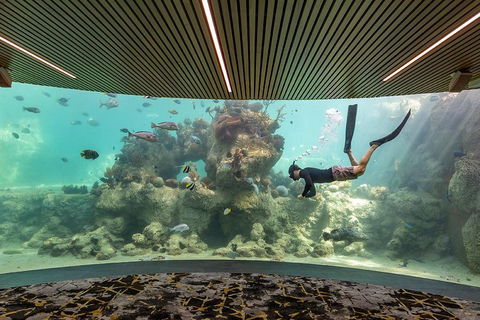 Whitehaven Beach And Daydream Island Cruise - Accommodation Australia 4