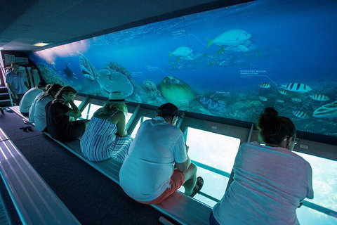 Great Barrier Reef Day Cruise To Reefworld - Accommodation Australia 0