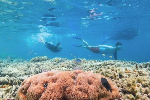 Great Barrier Reef Day Cruise To Reefworld - Accommodation Australia 1
