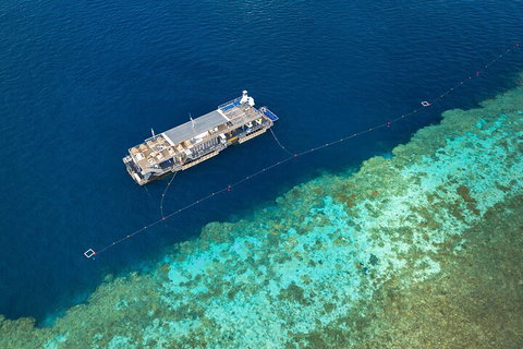 Great Barrier Reef Day Cruise To Reefworld - Accommodation Australia 2
