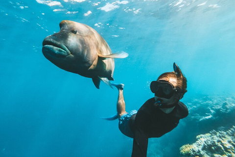 Great Barrier Reef Day Cruise To Reefworld - Accommodation Australia 3