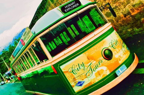 Hobart Half-Day Sightseeing Coach Tram Tour - Local Tourism 5