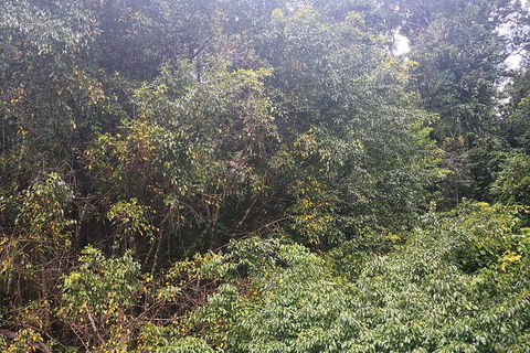 Historic Village Herberton And Tableland Tour - Accommodation Australia 4