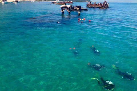 Adventure Moreton Island Scuba Dive Tour - Local Tourism 0