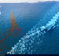2-Night Whitsunday Islands Sailing Adventure on Trimaran Avatar - Local Tourism
