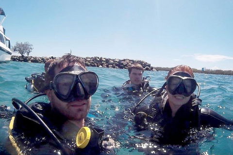 Wave Break Island Scuba Diving On The Gold Coast - Accommodation Australia 0