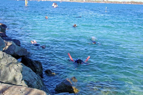 Wave Break Island Scuba Diving On The Gold Coast - Accommodation Australia 1
