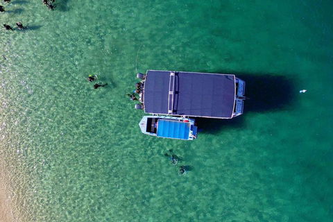 Wave Break Island Scuba Diving On The Gold Coast - Accommodation Australia 2