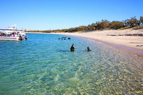 Wave Break Island Scuba Diving On The Gold Coast - Accommodation Australia 4