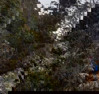 kunanyi / Mt. Wellington Guided Hiking Tour - Accommodation Australia