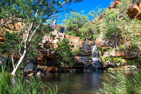 9-Day Kimberley Offroad Adventure From Broome To Darwin - Local Tourism 4