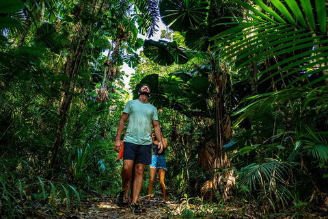 Full Day Daintree Rainforest And Mossman Gorge Tour - Local Tourism 0