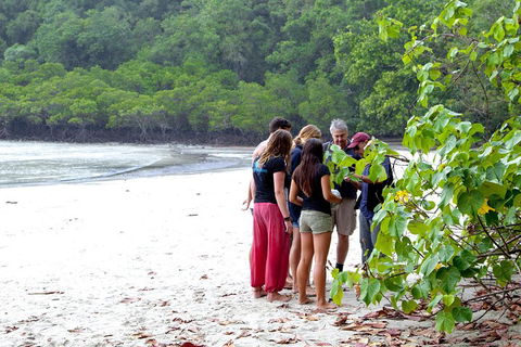 Full Day Daintree Rainforest And Mossman Gorge Tour - Local Tourism 2