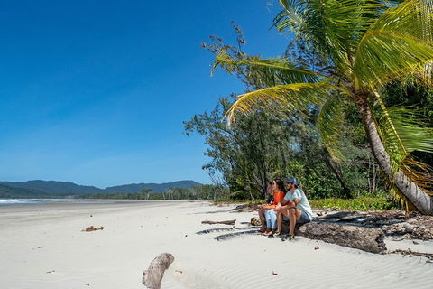 Full Day Daintree Rainforest And Mossman Gorge Tour - Local Tourism 4