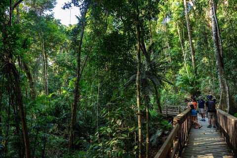 Full Day Daintree Rainforest And Mossman Gorge Tour - Local Tourism 5