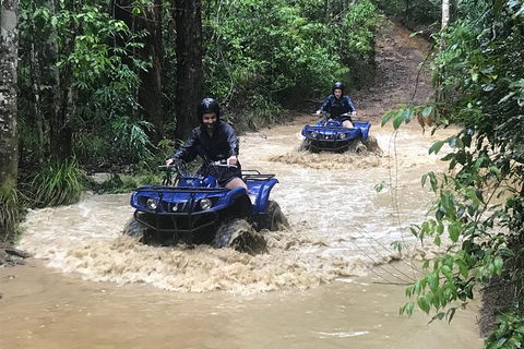 Cairns ATV Adventure Tour And Morning Skyrail - Bed n Breakfasts 1