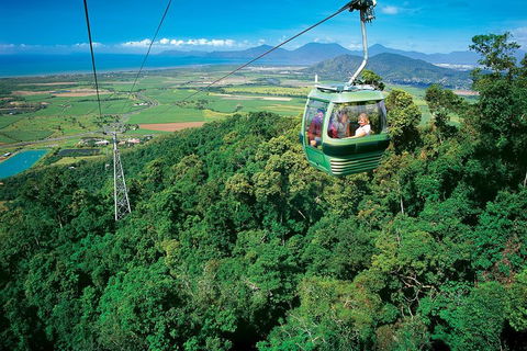 Cairns ATV Adventure Tour And Morning Skyrail - Bed n Breakfasts 2