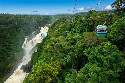 Cairns ATV Adventure Tour And Morning Skyrail - Bed n Breakfasts 3