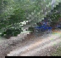 Cairns ATV Adventure Tour and Morning Train - Local Tourism