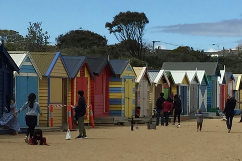 Private Half Day Melbourne City Tour With Local Guide - Accommodation Australia 2