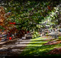 Fully Inclusive Blue Mountains Private Tour inc Scenic World  Featherdale entry - Local Tourism
