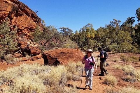 Palm Valley And Hermannsburg 1 Day 4WD Tour - Australia Shopping 1