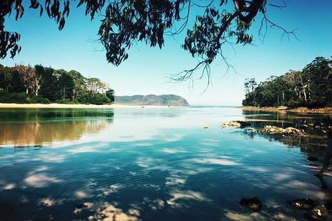Full-Day Guided Bruny Island Tour From Hobart - Australia Shopping 1