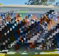 Full Day Mount Tamborine Winery Tour from Gold Coast - Local Tourism