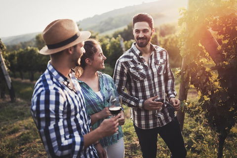 Full Day Mount Tamborine Winery Tour From Gold Coast - Accommodation Australia 5