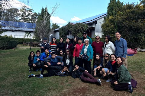 Full Day Mount Tamborine Winery Tour From Brisbane - Local Tourism 2