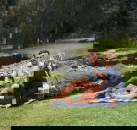 Mt Tamborine - Hinterland Wonders Self Guided - Local Tourism
