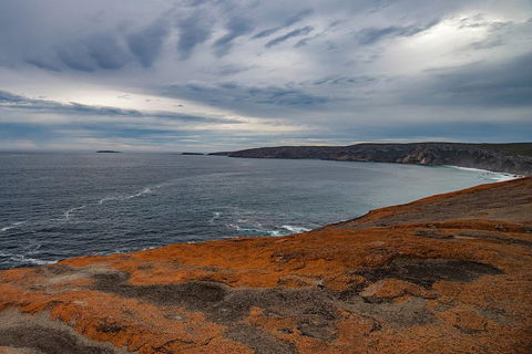 Kangaroo Island Luxury Small Group 'Flinders Chase Focus' Full Day Tour - Local Tourism 0
