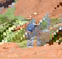 Afternoon Kata Tjuta Small Group Tour - Local Tourism