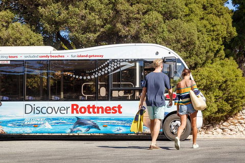 Discover Rottnest With Ferry & Bus Tour From Perth Or Fremantle - Accommodation Australia 1