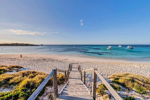 Discover Rottnest With Ferry & Bus Tour From Perth Or Fremantle - Accommodation Australia 4