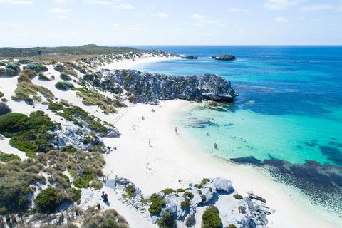 Discover Rottnest With Ferry & Bus Tour From Perth Or Fremantle - Accommodation Australia 5