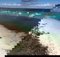 Experience Rottnest with Ferry  Bike Hire from Perth or Fremantle - Local Tourism