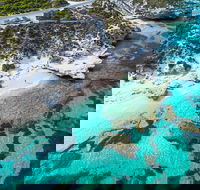 Rottnest Island Round-Trip Ferry from Perth or Fremantle - Local Tourism
