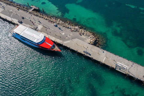 Rottnest Island Round-Trip Ferry From Perth Or Fremantle - Accommodation Australia 1