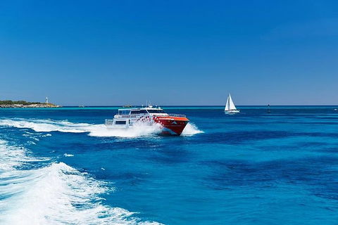 Rottnest Island Round-Trip Ferry From Perth Or Fremantle - Accommodation Australia 4