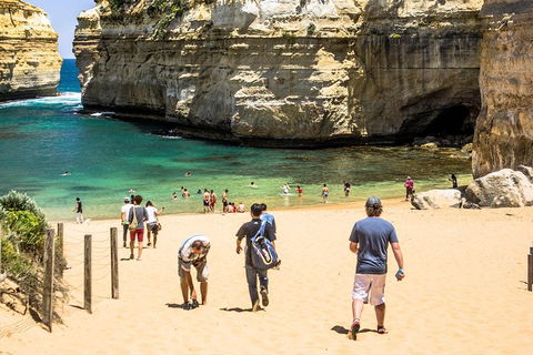 Small-Group Great Ocean Road Classic Day Tour From Melbourne - Accommodation Australia 5