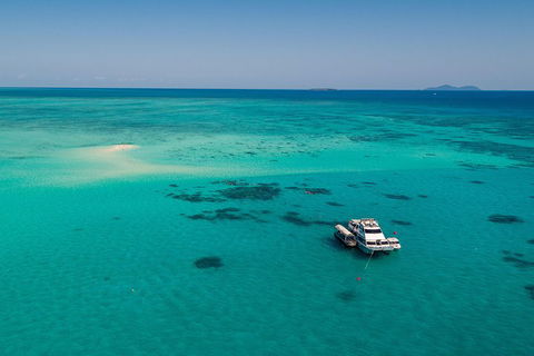 Ocean Freedom Great Barrier Reef Personal Luxury Snorkel & Dive Cruise, Cairns - Local Tourism 2