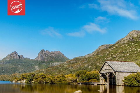 6 Day Trek The Cradle Mountain Overland Track - Local Tourism 1