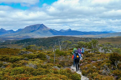 6 Day Trek The Cradle Mountain Overland Track - Local Tourism 5