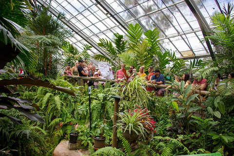 Australian Butterfly Sanctuary - Local Tourism 0