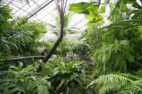 Australian Butterfly Sanctuary - Local Tourism 3