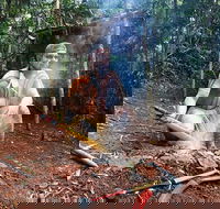 Kuranda Highlights including Rainforestation Aboriginal Culture and Wildlife