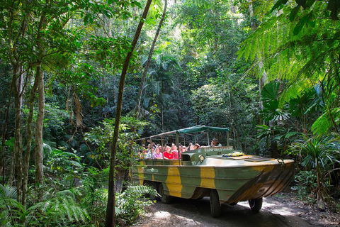 Kuranda Highlights Including Rainforestation Aboriginal Culture And Wildlife - Accommodation Australia 2